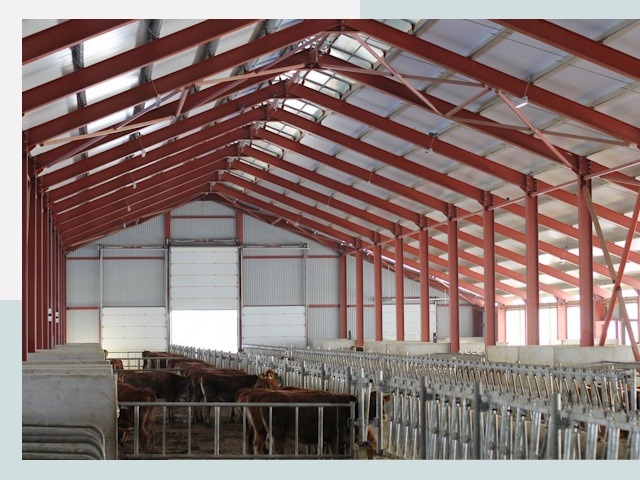 Строительство коровников в Кисловодске